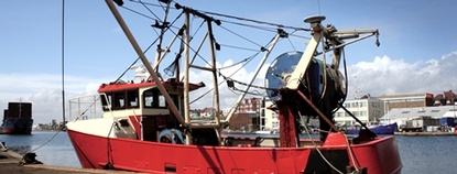 Nářadí Felco pro rybářský průmysl